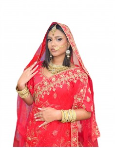Robe de Soirée Princesse Longue Noir Ansara Robe indienne (sari ind