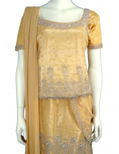 Lehenga Choli pas cher... 2