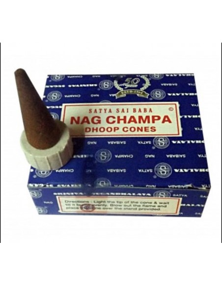 Cône encens Nag Champa bleu  - 1
